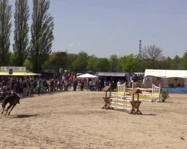 Reitturnier Hamm-Rhynern 2016