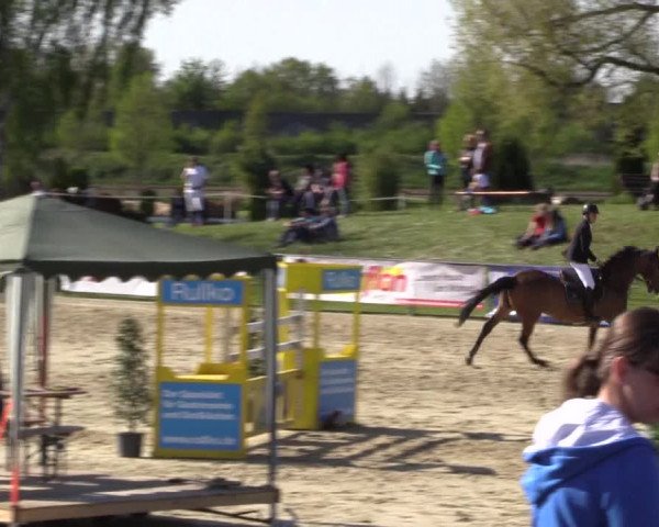 Reitturnier Hamm-Rhynern 2016