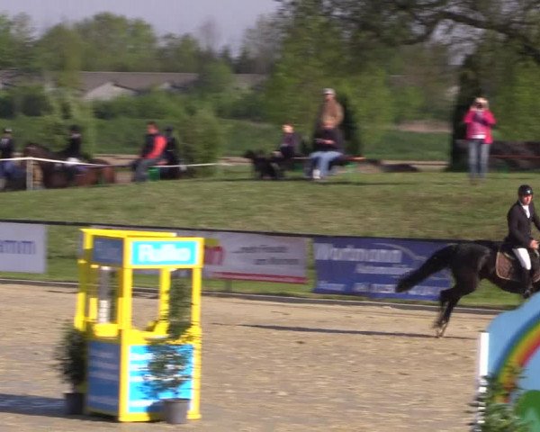 Reitturnier Hamm-Rhynern 2016