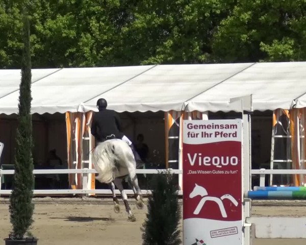 Reitturnier Köln-Seeberg 2016