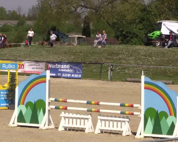 Reitturnier Hamm-Rhynern 2016