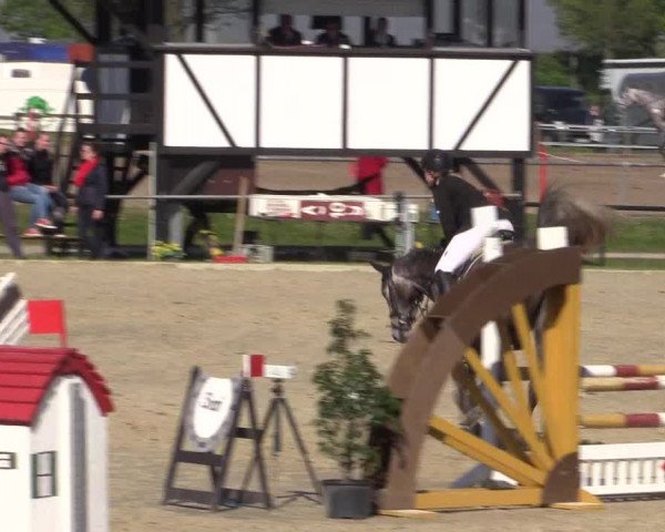 Reitturnier Hamm-Rhynern 2016