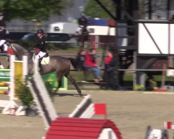 Reitturnier Hamm-Rhynern 2016