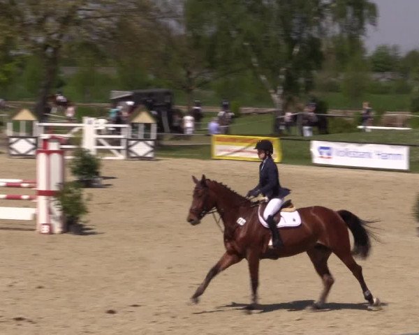 Reitturnier Hamm-Rhynern 2016