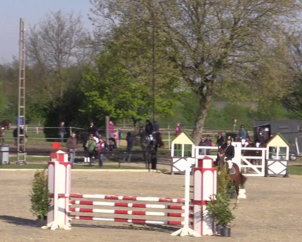 Reitturnier Hamm-Rhynern 2016
