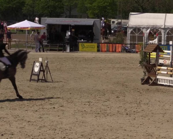 Reitturnier Hamm-Rhynern 2016