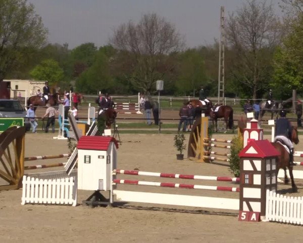 Reitturnier Hamm-Rhynern 2016