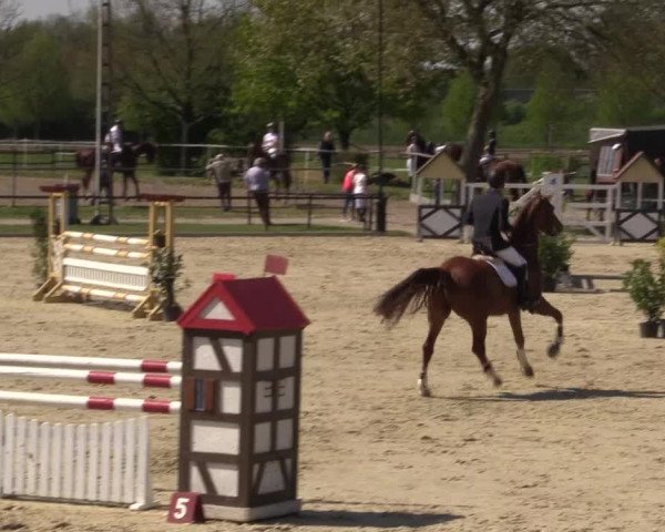 Reitturnier Hamm-Rhynern 2016