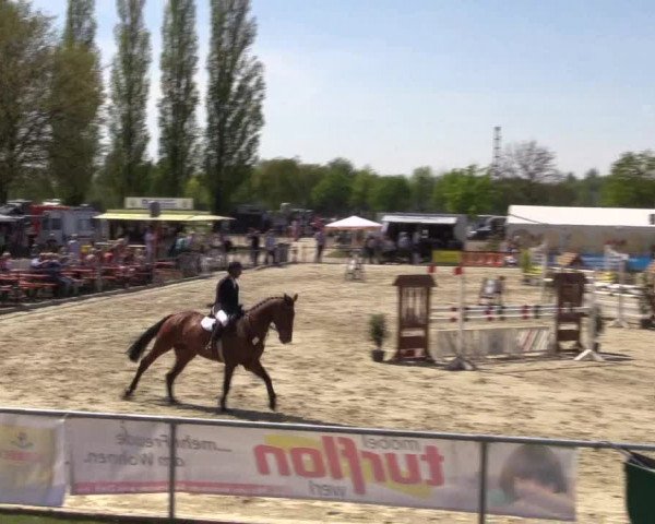 Reitturnier Hamm-Rhynern 2016