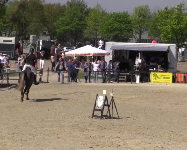 Reitturnier Hamm-Rhynern 2016