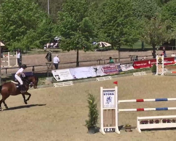 Springturnier Schwanheim 2016