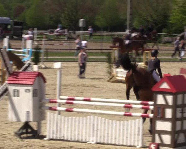 Reitturnier Hamm-Rhynern 2016