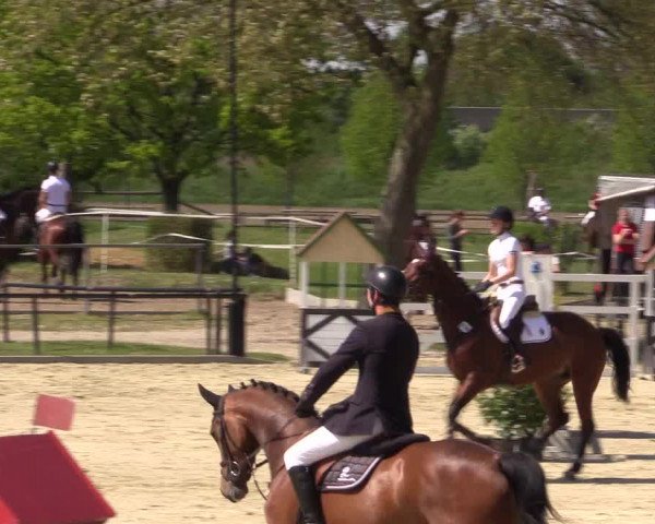 Reitturnier Hamm-Rhynern 2016