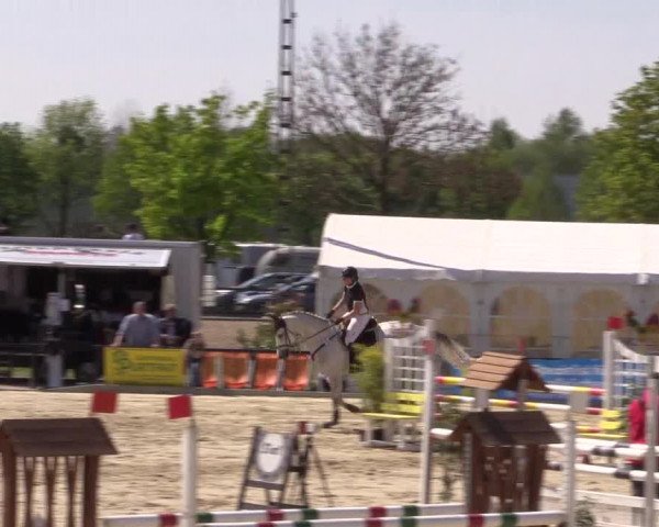 Reitturnier Hamm-Rhynern 2016