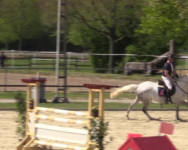 Reitturnier Hamm-Rhynern 2016
