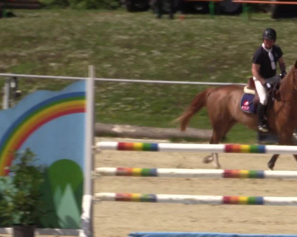 Reitturnier Hamm-Rhynern 2016