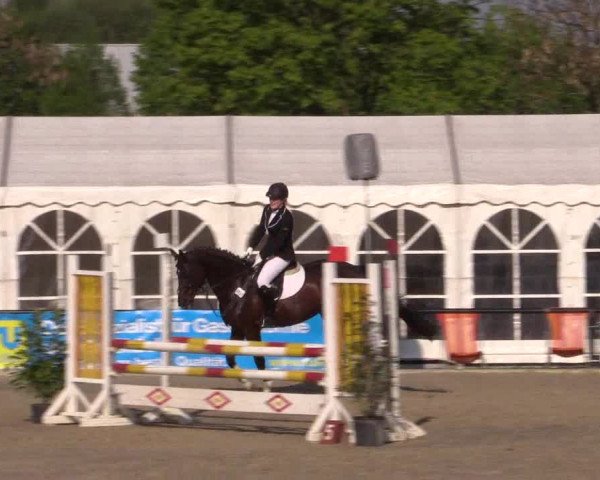 Reitturnier Hamm-Rhynern 2016