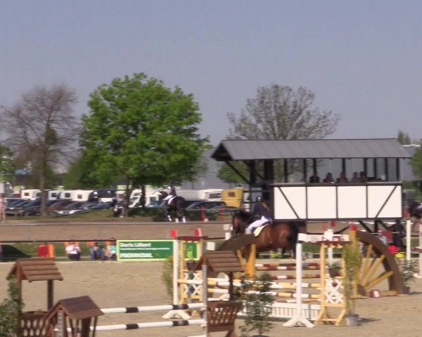 Reitturnier Hamm-Rhynern 2016