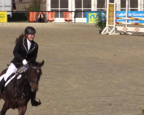 Reitturnier Hamm-Rhynern 2016