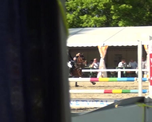 Reitturnier Köln-Seeberg 2016