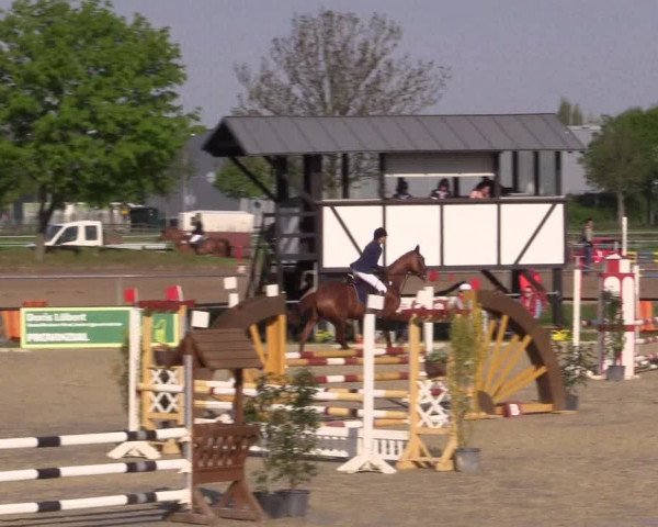 Reitturnier Hamm-Rhynern 2016