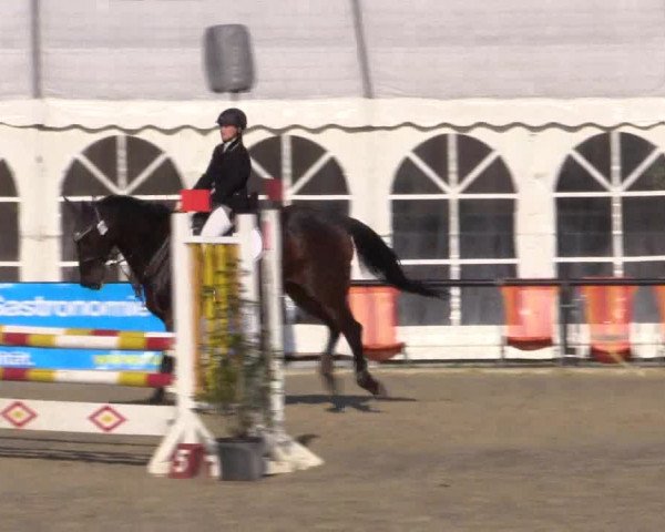 Reitturnier Hamm-Rhynern 2016