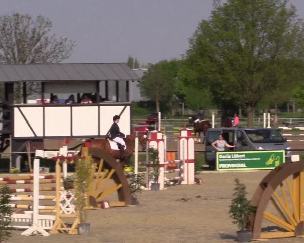 Reitturnier Hamm-Rhynern 2016