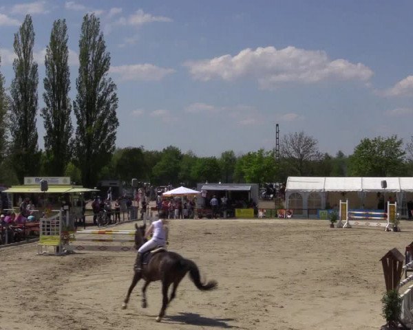 Reitturnier Hamm-Rhynern 2016