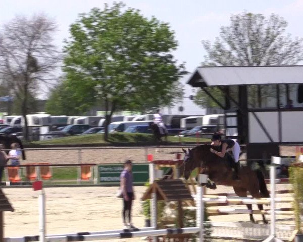 Reitturnier Hamm-Rhynern 2016