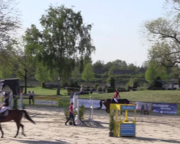 Reitturnier Hamm-Rhynern 2016