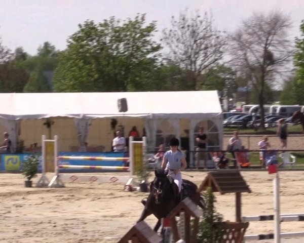 Reitturnier Hamm-Rhynern 2016