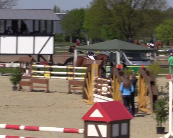 Reitturnier Hamm-Rhynern 2016