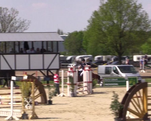 Reitturnier Hamm-Rhynern 2016