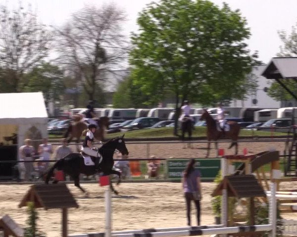 Reitturnier Hamm-Rhynern 2016