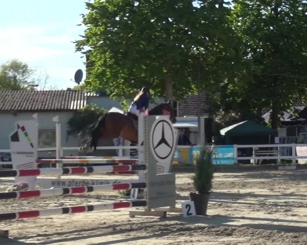Reitturnier Köln-Seeberg 2016