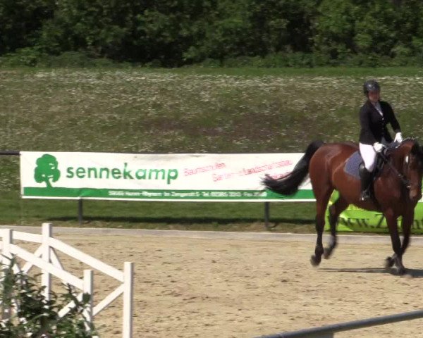 Reitturnier Hamm-Rhynern 2016