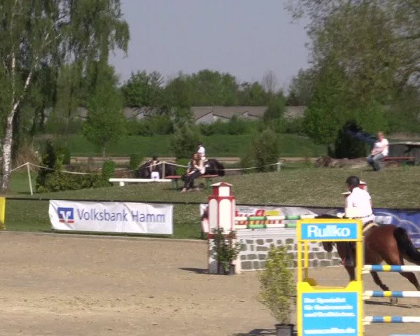 Reitturnier Hamm-Rhynern 2016