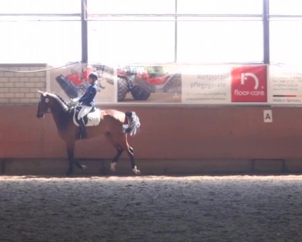 Reitturnier Hellefeld 2016