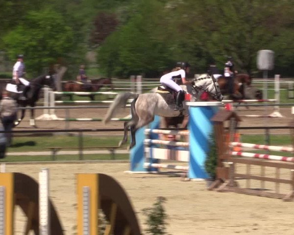 Reitturnier Hamm-Rhynern 2016