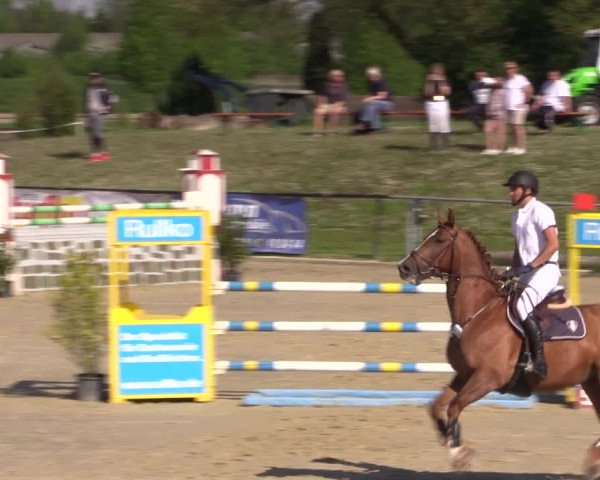 Reitturnier Hamm-Rhynern 2016