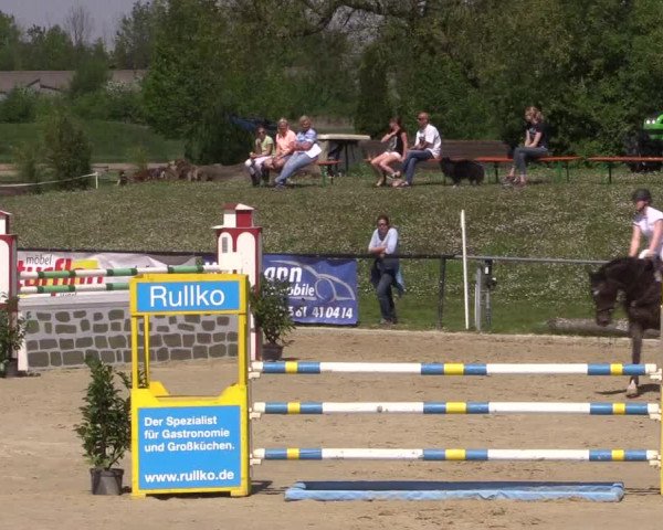 Reitturnier Hamm-Rhynern 2016