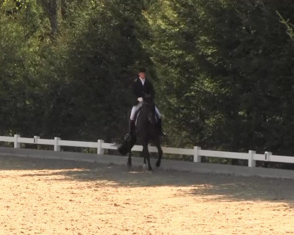 Reitturnier Halver 2016