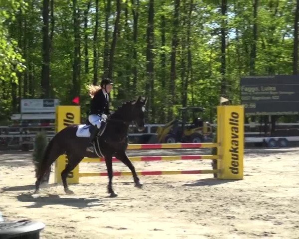 Reitturnier Köln-Seeberg 2016