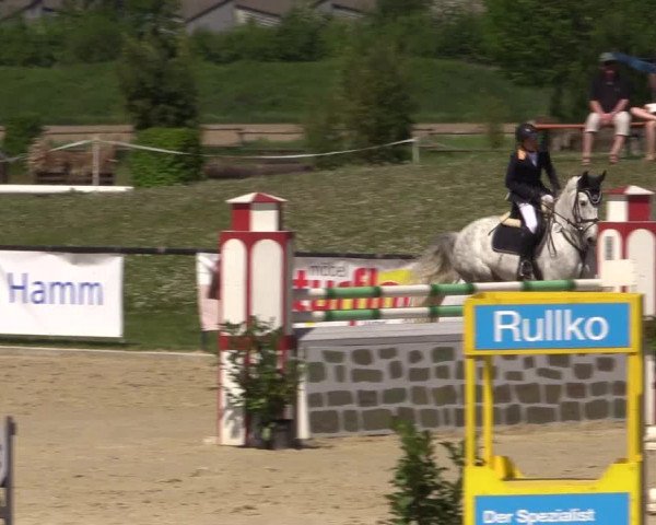 Reitturnier Hamm-Rhynern 2016