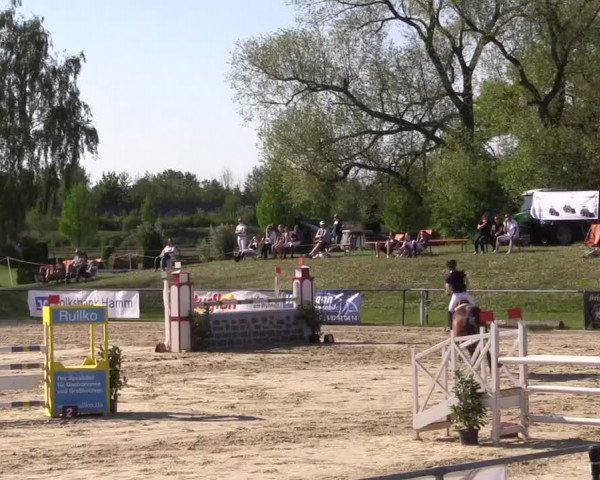Reitturnier Hamm-Rhynern 2016