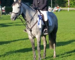 broodmare Cescina (German Sport Horse, 2012, from Cellestial)