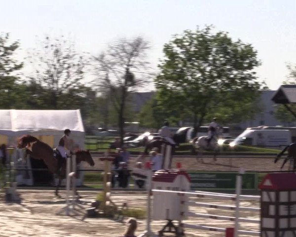 Reitturnier Hamm-Rhynern 2016