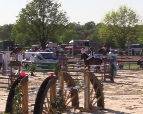Reitturnier Hamm-Rhynern 2016
