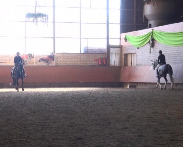 Reitturnier Hellefeld 2016