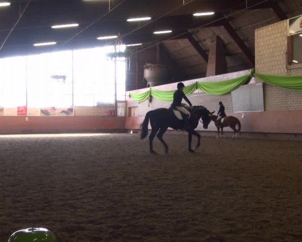 Reitturnier Hellefeld 2016